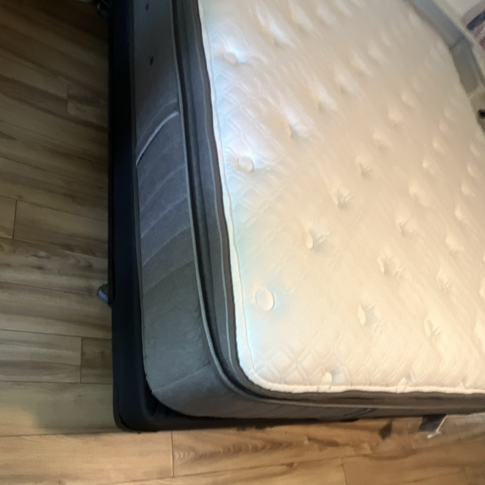 Stearns & Foster Estate King Futon Soft Mattress, White Gray, Geometric Pattern