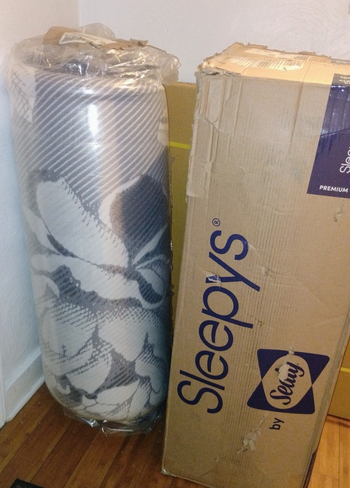 Sealy’s Sleepy Memory Foam 13 inch mattress