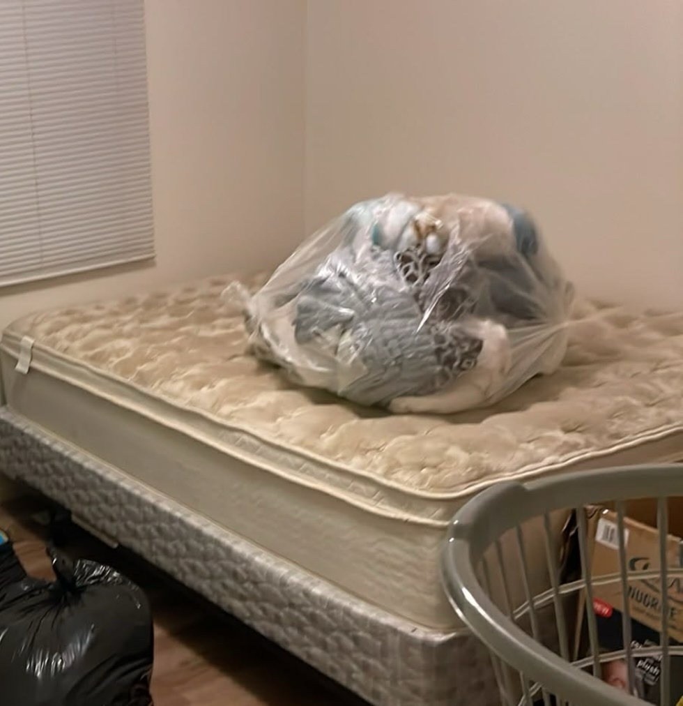 Queen Innerspring Mattress Medium Firm Pillow Top Beige Abstract Print Bedroom