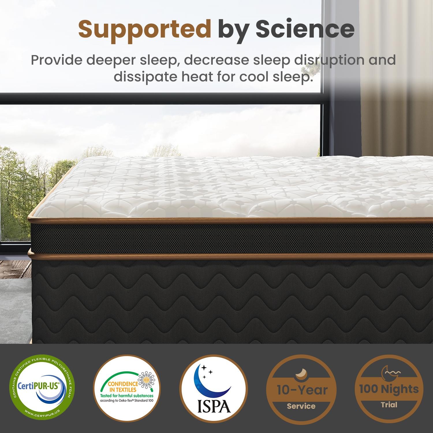10″ Twin Plush Hybrid Mattresses with Independently Encased Coils