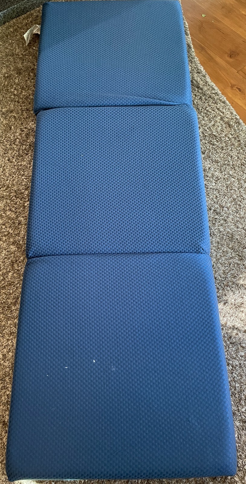 GranRest OLW04TM02S 4 in. Tri Folding Memory Foam Mattress – Blue