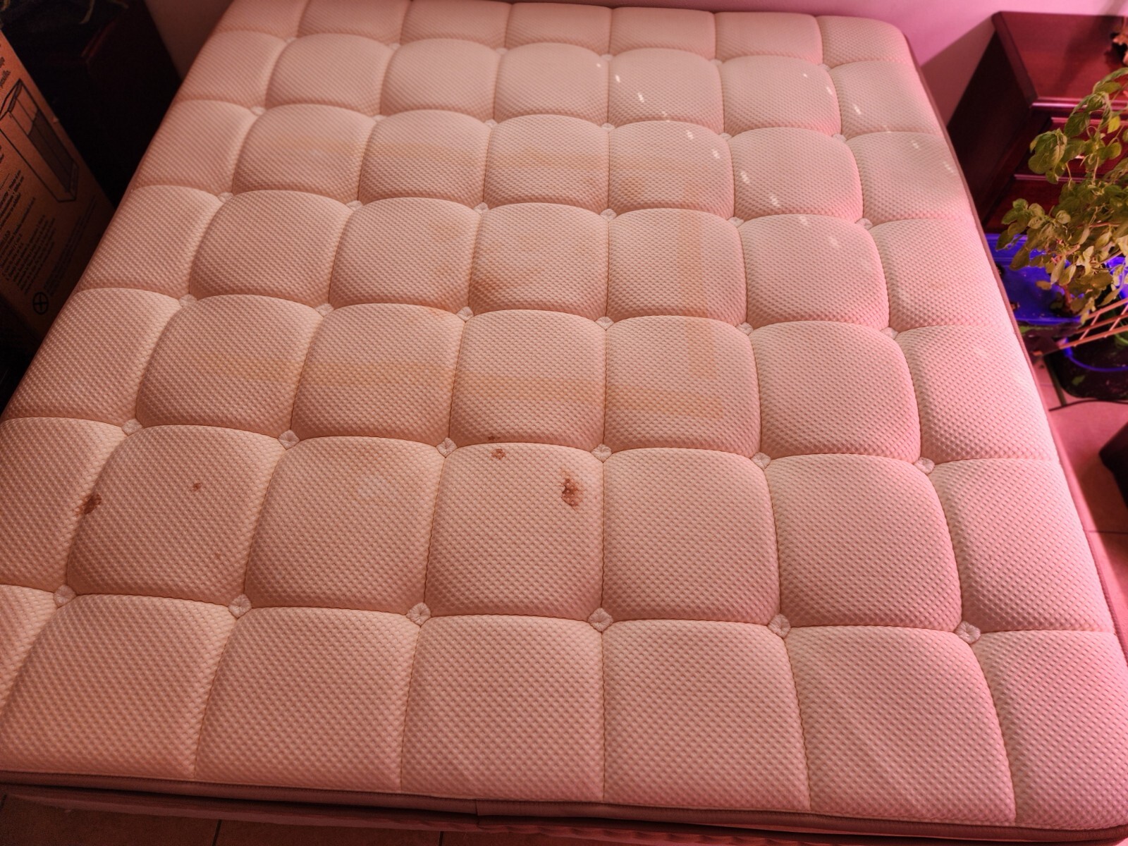 Dreamcloud King 15″ Euro Top Hybrid Mattress
