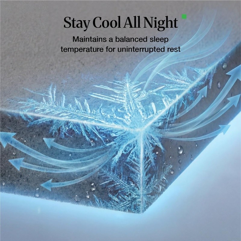 Memory Foam Mattress Medium Firm Support Plush Top Breathable Motion Absorbing