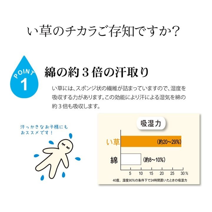 Japanese Igusa Sleeping Mat Natural Rush Grass Kumamoto Made Antibacterial Cool