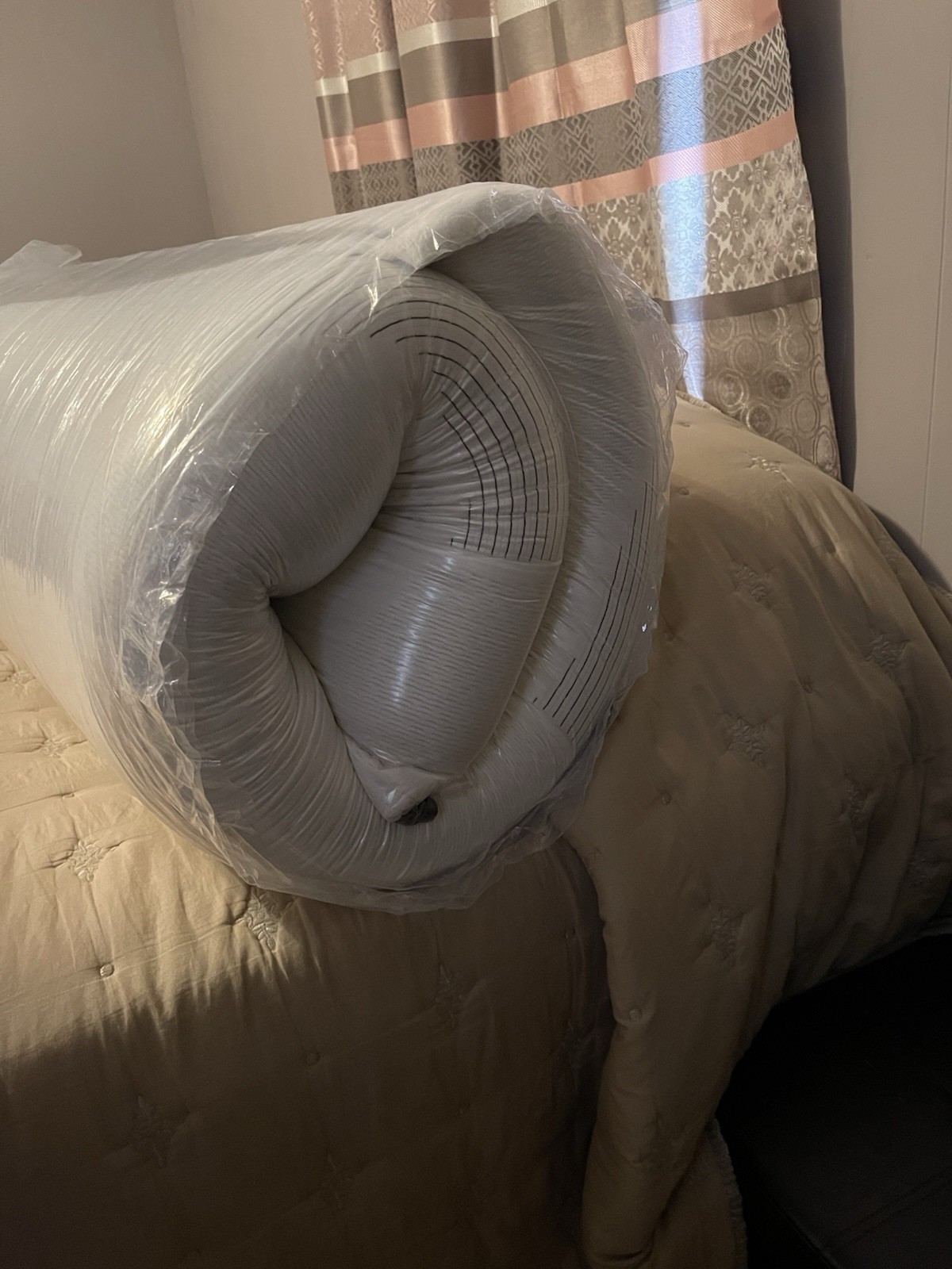 Nest & Wild Classic 10” Foam Mattress TWIN