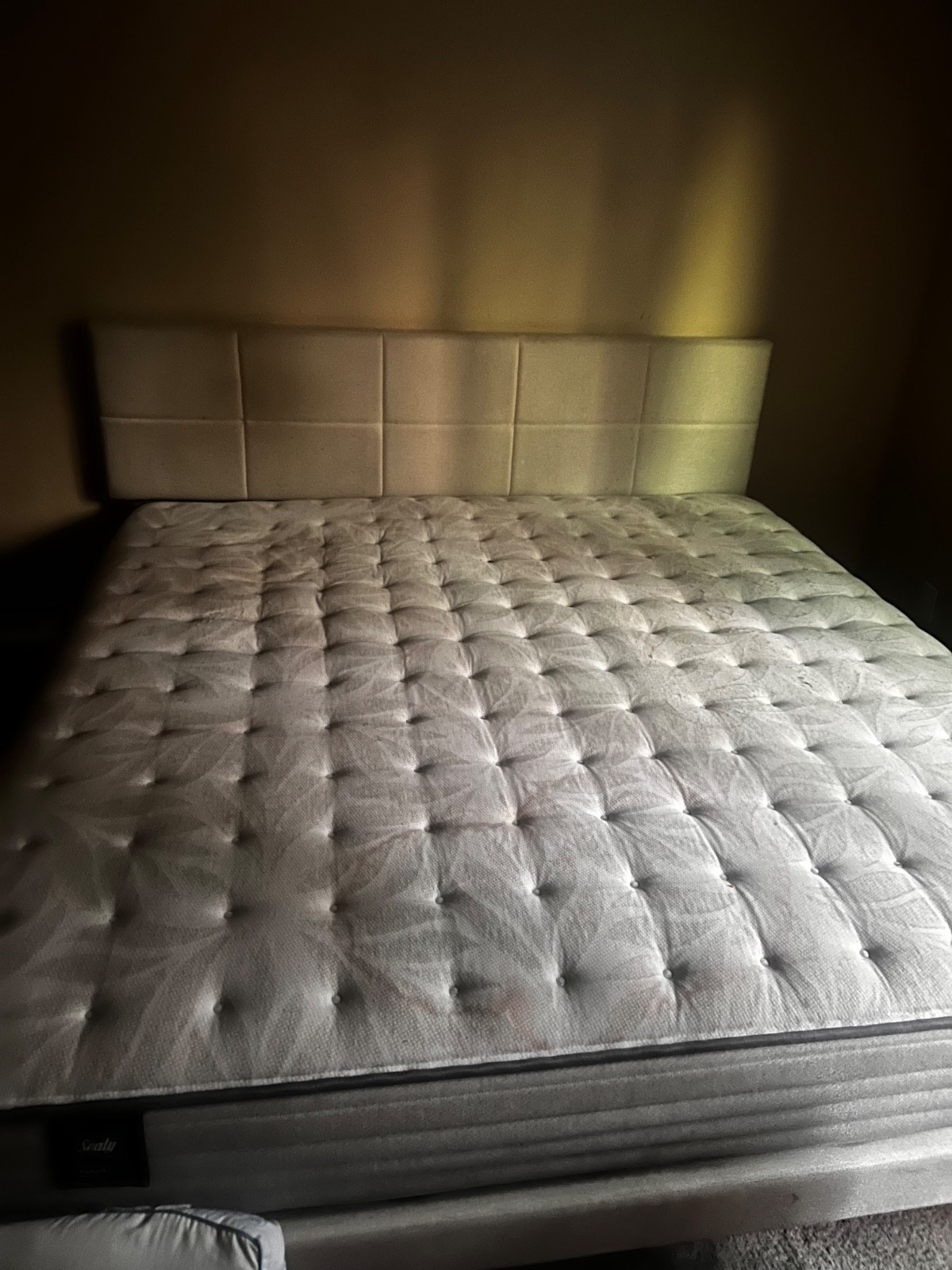 Sealy Posturepedic mattress king size -spring bloom with bed frame
