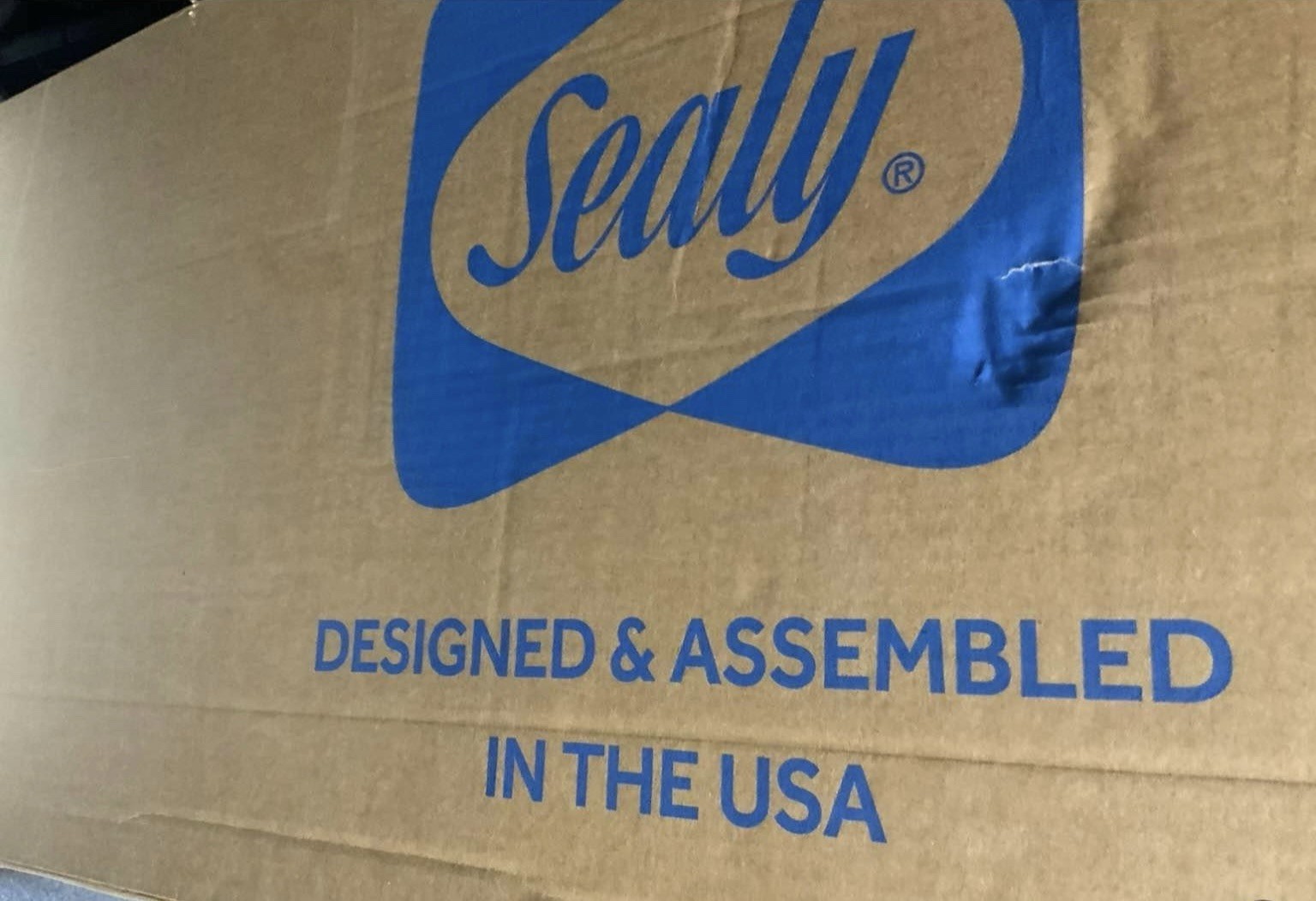 Sealy 10 Inch Encased Coil Innerspring Twin Size Mattress Still Compressed New