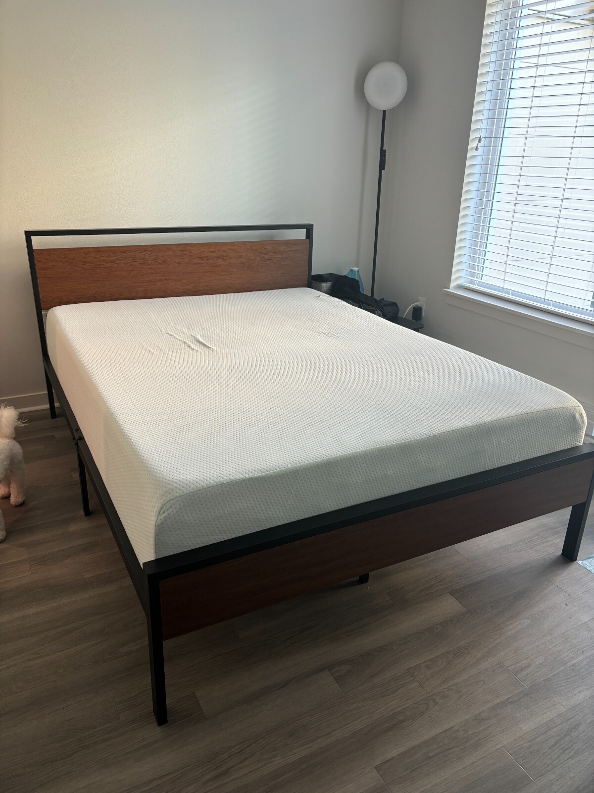 Zinus AZ-BTCM-12Q Memory Foam Green Tea Mattress, Queen – White