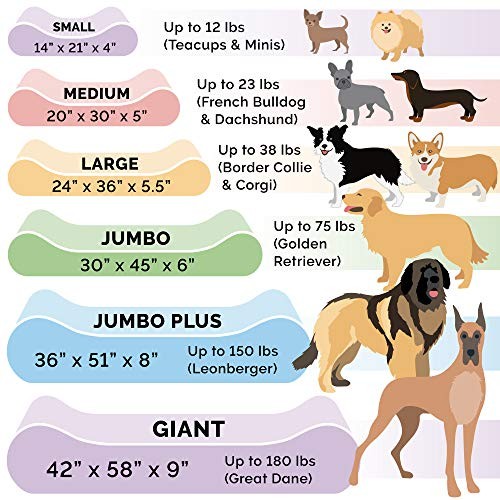 Orthopedic, Cooling Gel, and Memory Jumbo Ultra Plush Gray Orthopedic Foam
