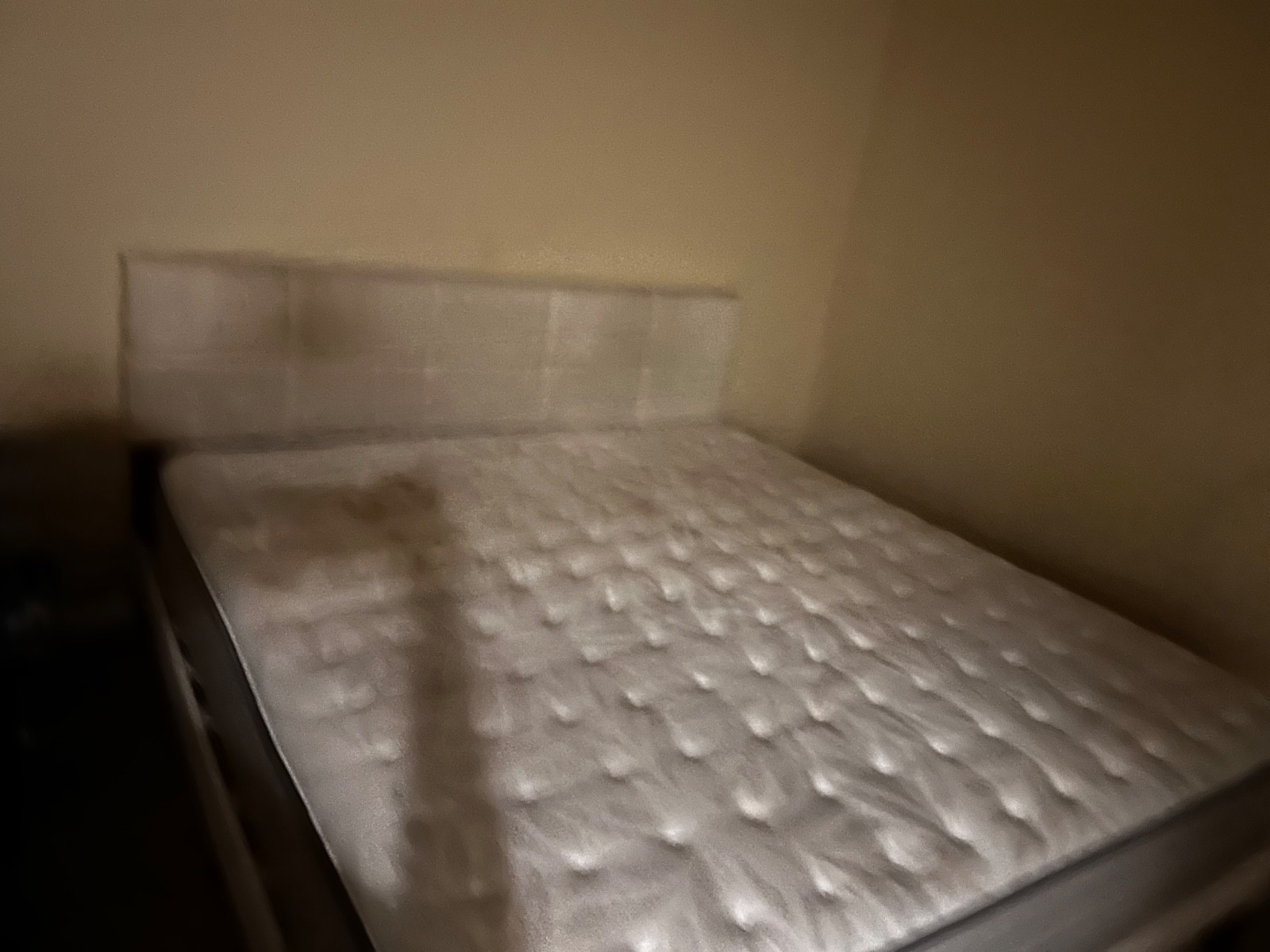 Sealy Posturepedic mattress king size -spring bloom with bed frame
