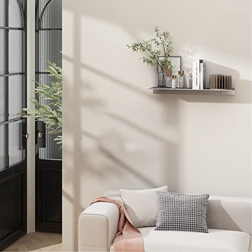 Danpoo Estante de pared de metal, pequeño estante flotante de 16 pulgadas Gris