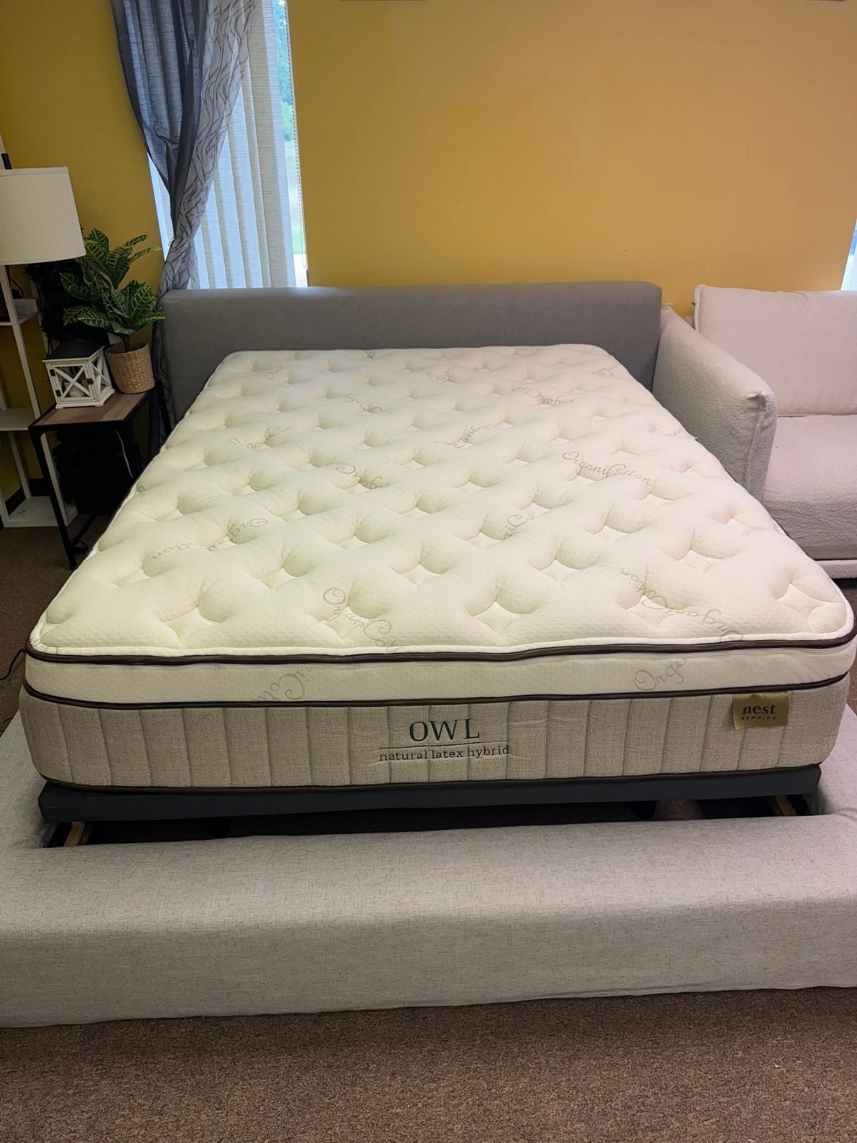 Nest Bedding Owl King Size Mattress Organic 🦉 Healthy Bed Latex🌳🌠 Pick Up