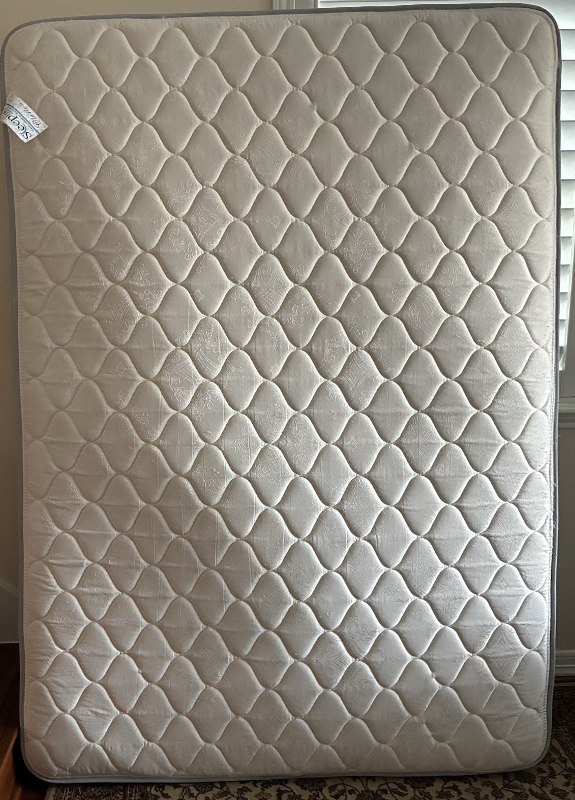 Seepinc Clarion Dream Big Twin Firm Innerspring Mattress, Beige