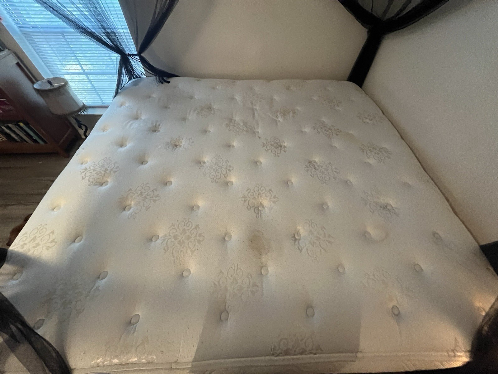 Sutherland Serenity King Bed