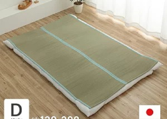IKEHIKO Japanese Igusa Tatami Mat Foldable Sleeping Pad Cool Antibacterial D NEW