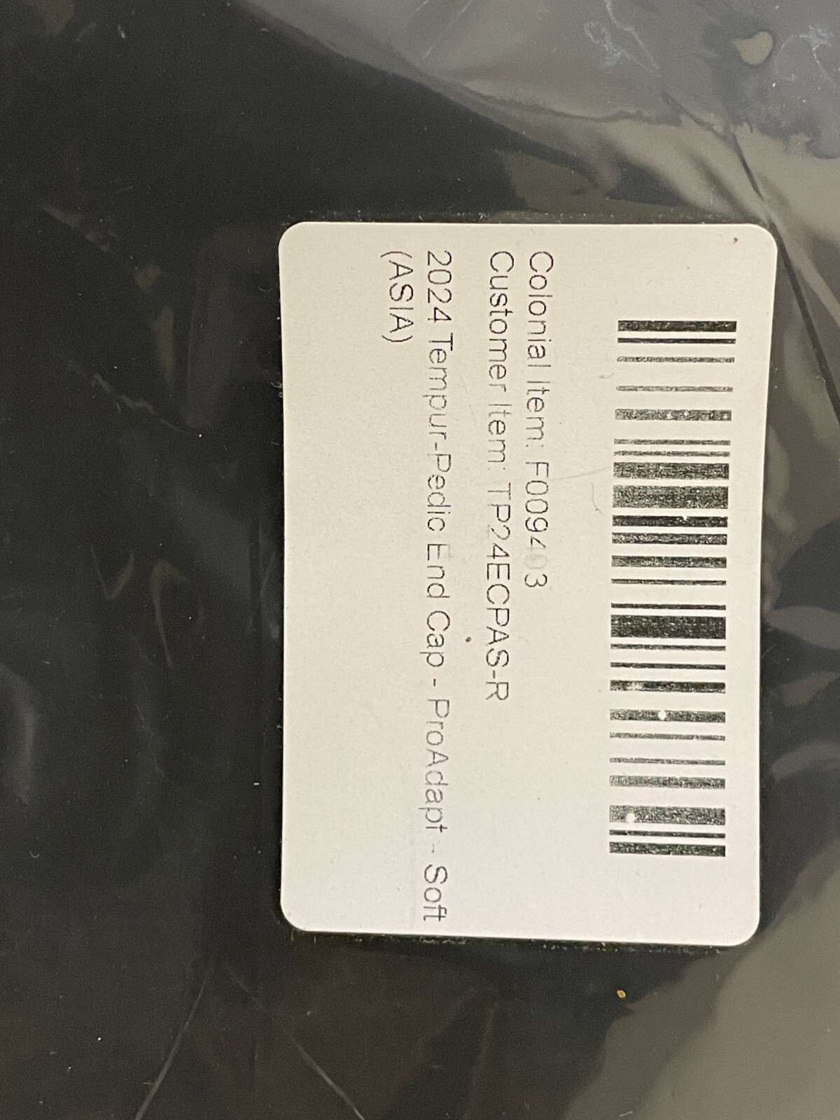2024 Tempur-Pedic End Cap – ProAdept -Medium (ASIA)