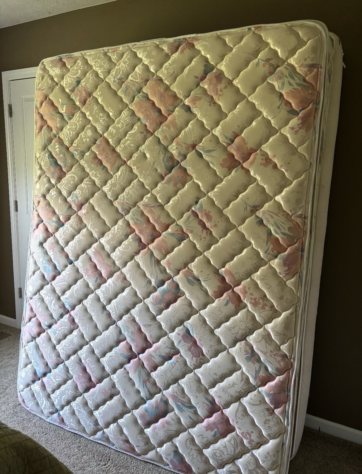 Sealy Queen Firm Open Spring Floral Quilted Fabric Mattress Beige/Pink/Green