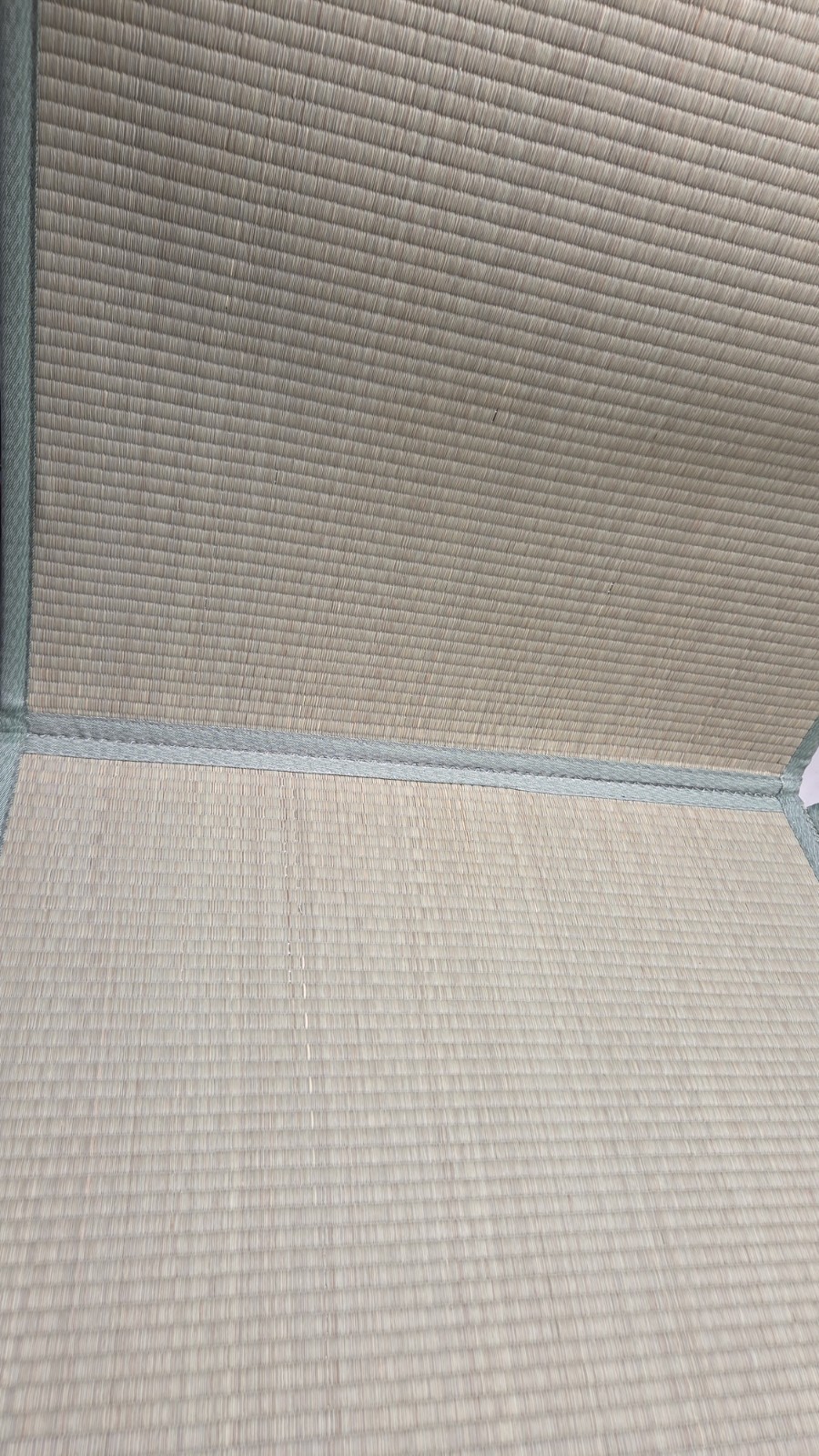 Japanese Tatami Mat,(Queen, 79″ x 59″ x 0.5″)100% Rush Grass Portable #1132S UP1