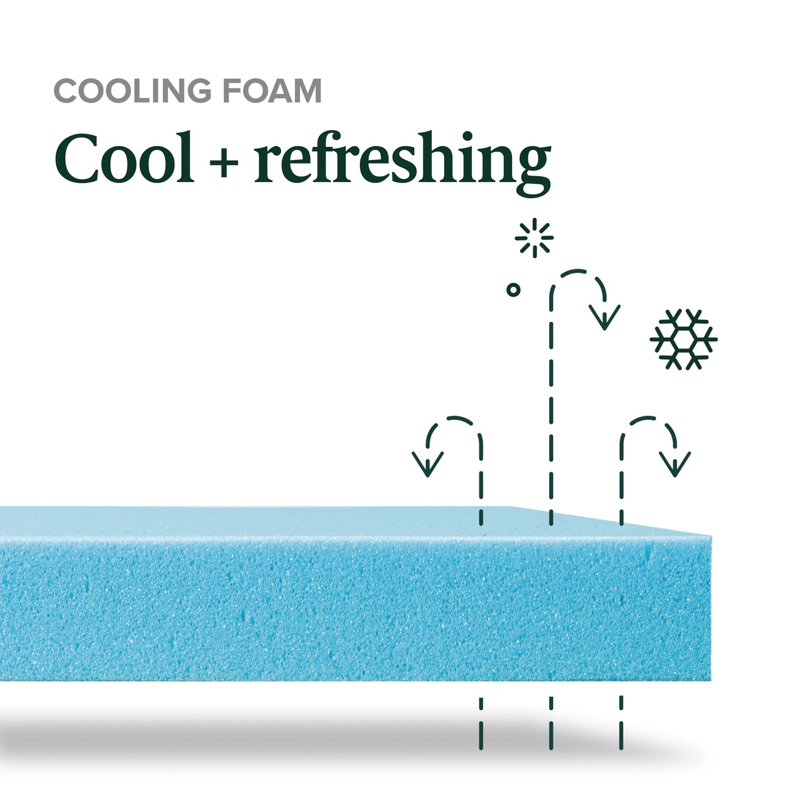 Zinus 8 Inch Green Tea Cooling Memory Foam Mattress [New Version] Twin