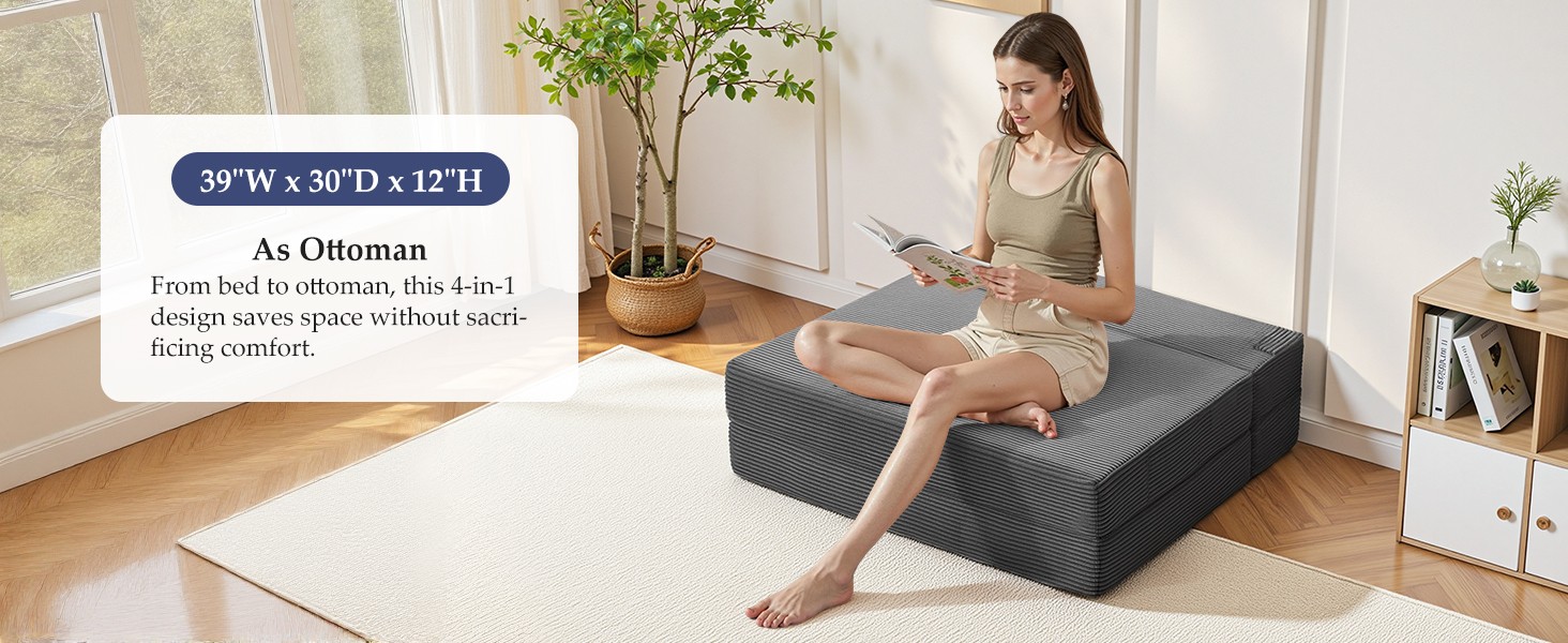 Folding Sofa Bed Convertible Sleeper Chair with Pillow, 4-in-1
