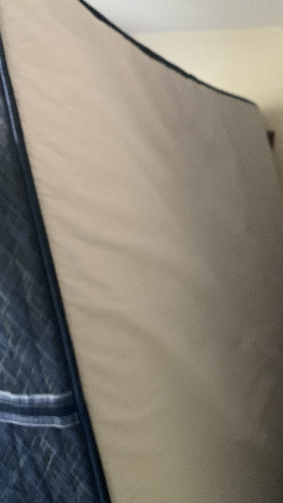 Serta Mattress Perfect Sleeper Dazzling Night 12” PSL 23 Hybrid