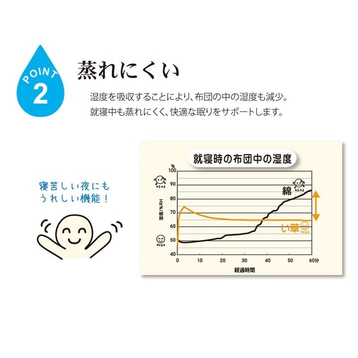 Japanese Igusa Sleeping Mat Natural Rush Grass Kumamoto Made Antibacterial Cool