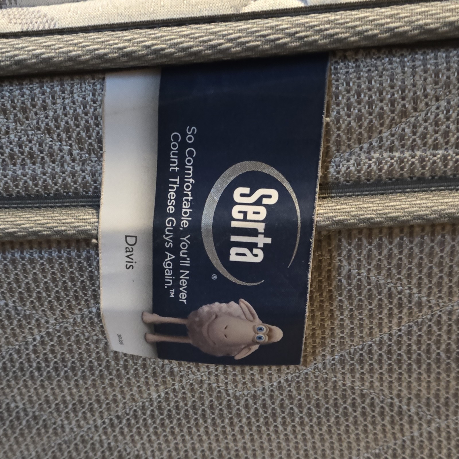 Serta Davis Rectangle Mattress Gray White for Bedroom Adults
