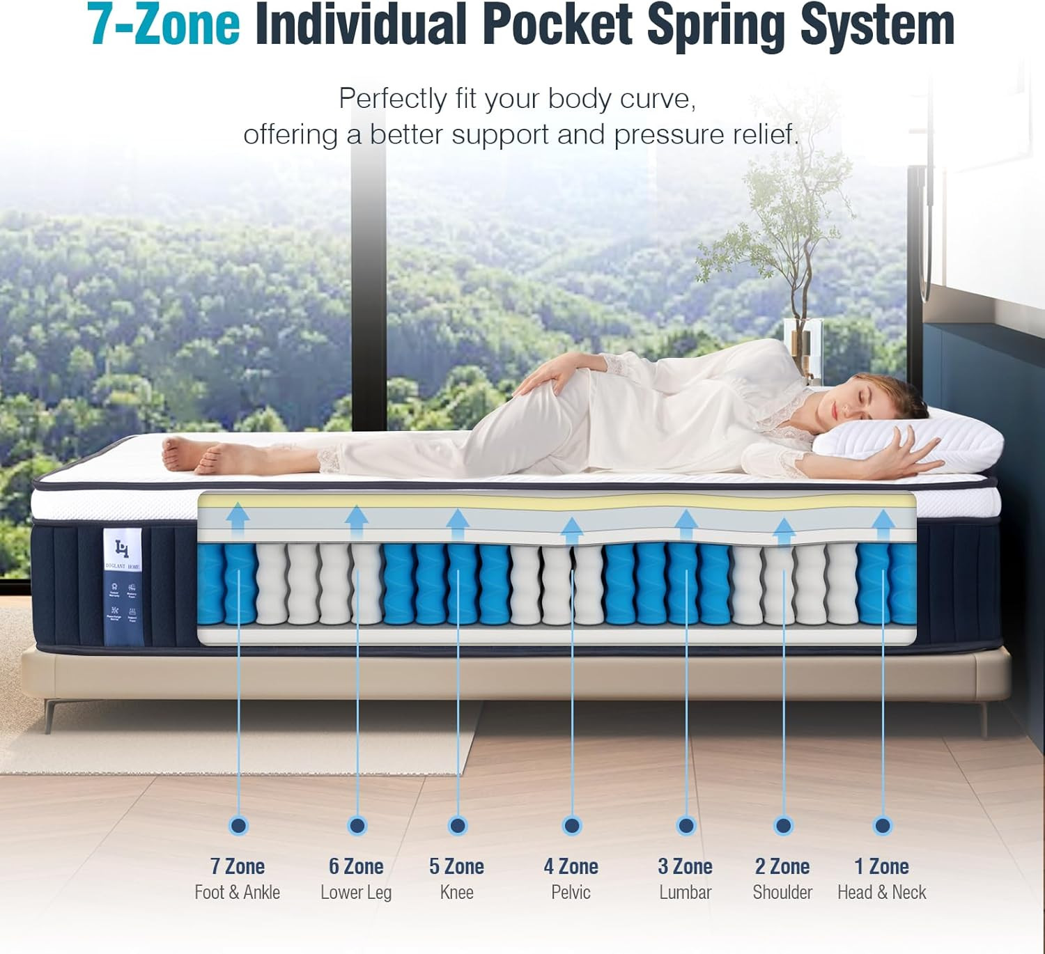 DIGLANT 14″ Euro Top Queen Mattress – Memory Foam & Pocket Springs for Comfort