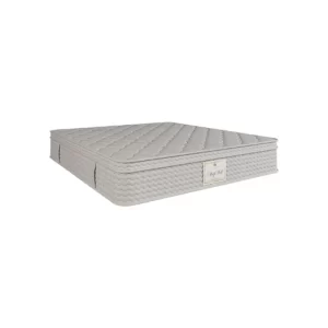 Sleep Well Mattress